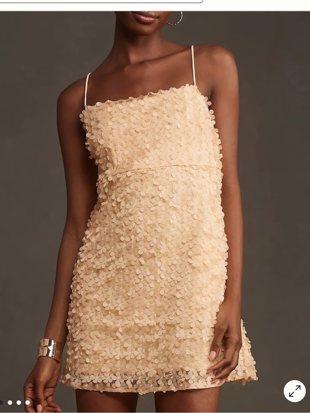 NWT Anthropologie dress
